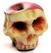 AppleSkull